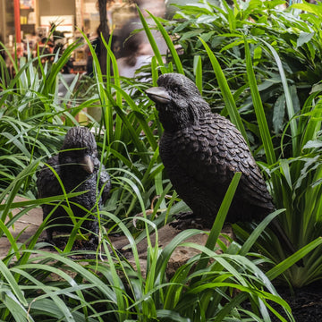 Kookaburra family (Bronze Sculpture)