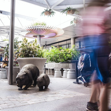 Common Wombats Family (Bronze Sculpture)