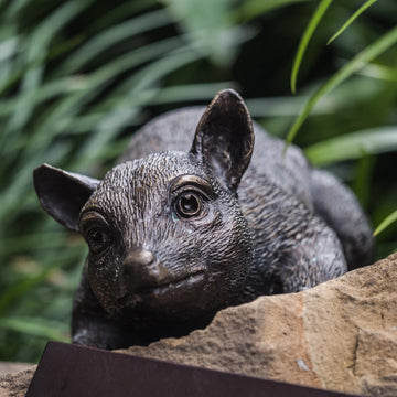 Possum Family (Bronze Sculpture)