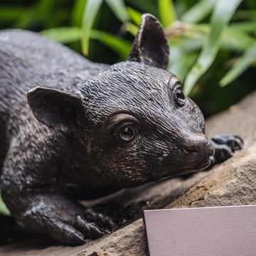 Possum Family (Bronze Sculpture)