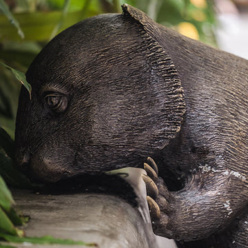 Common Wombats Family (Bronze Sculpture)