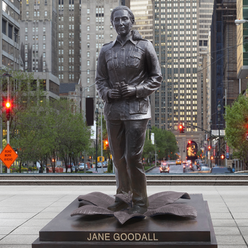 Jane Goodall (Bronze Sculpture)