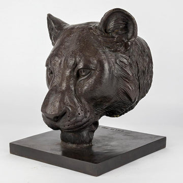 Gahiji the African Lioness Was a Face of the Wild (Bronze Sculpture)