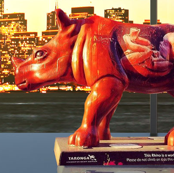 We Are One | Saving endangered rhinos