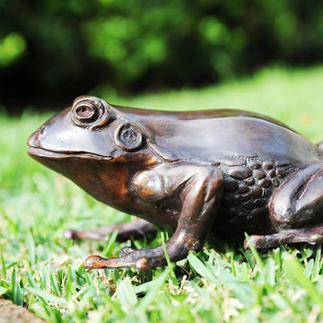 The Tree Frog (Bronze Sculpture)