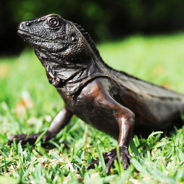 Water Dragon (Bronze Sculpture)