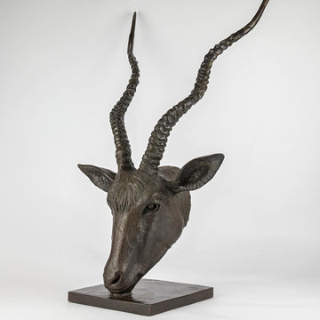 Hamza the Addax Antelope Was a Face of the Wild (Bronze Sculpture)
