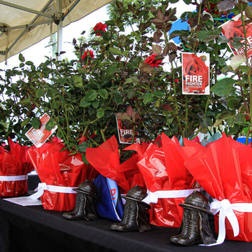 Boot and Helmet - A Memorial
