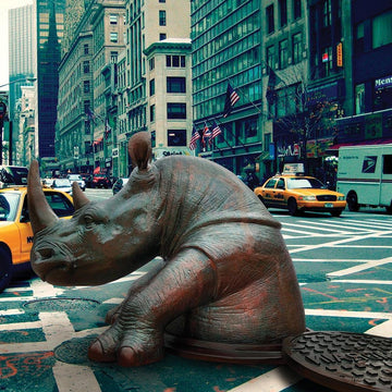 Come Out, Come Out Rhino, Wherever You Are (Bronze Sculpture, Large)