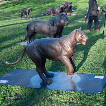 Cub 18 (Bronze Sculpture)