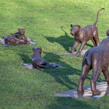 Cubs 13 and 14 (Bronze Sculpture)