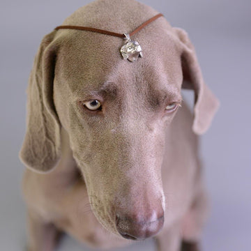 He wanted to be close to her heart (Large Pendant)