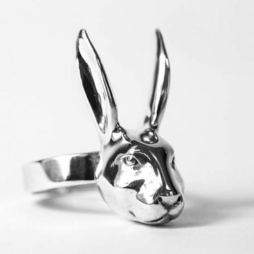 She thought they were the perfect fit (Ring)