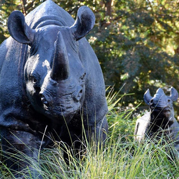 Black Rhinos (Bronze Sculpture)