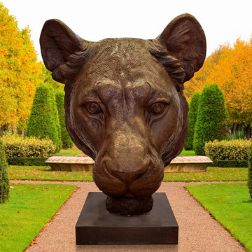Gahiji the African Lioness was Thinking Big (Bronze Sculpture)