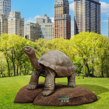 Tiny Baby Wonder Giant Tortoise (Bronze Sculpture)