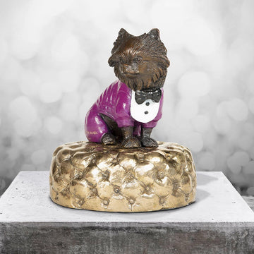 Pom (the miniature Pomeranian)