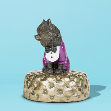 Pom (the miniature Pomeranian)