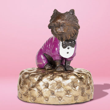 Pom (the miniature Pomeranian)