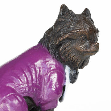 Pom (the miniature Pomeranian)