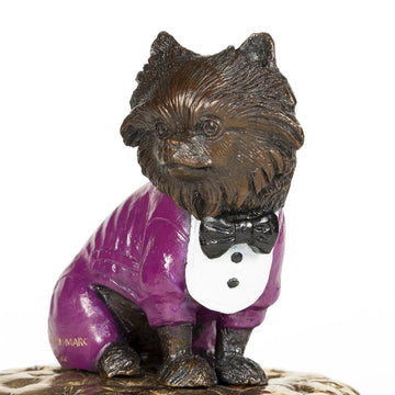 Pom (the miniature Pomeranian)