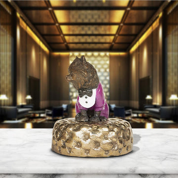 Pom (the miniature Pomeranian)