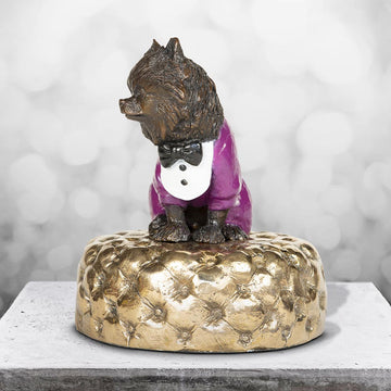 Pom (the miniature Pomeranian)