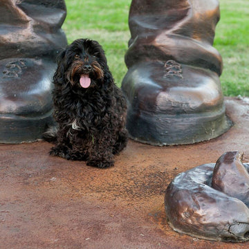 Fetch Boy (Fibreglass Sculpture)