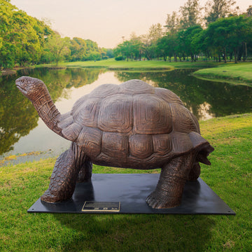 Wild Baby Giant Tortoise (Bronze Sculpture)