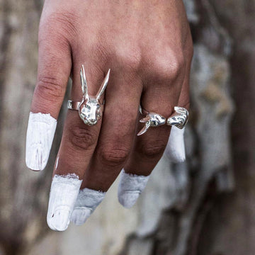 She thought they were the perfect fit (Ring)