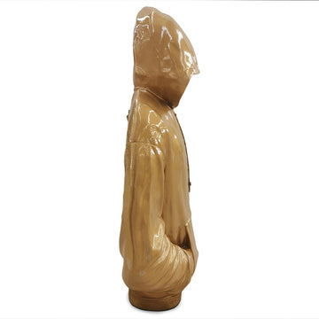 More Than Just a Hoodie (Sculpture Wall Art)