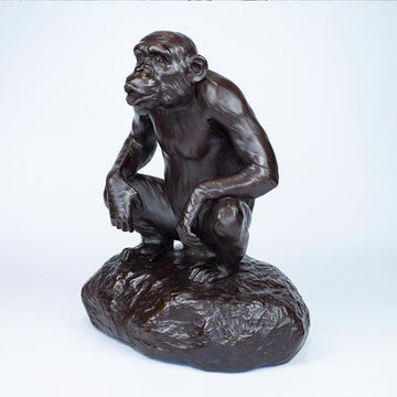 Chimp Hooting (Medium Bronze)
