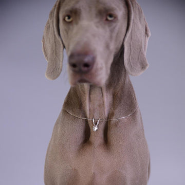 They were bosom buddies (Small Pendant)