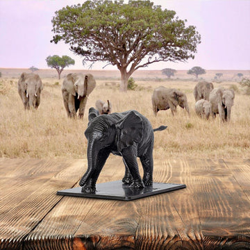 Kiasa (Bronze Sculpture)