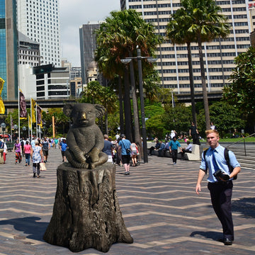 Lewis the Koala (Bronze Sculpture)