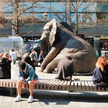 Mama Elephant (Bronze Sculpture)