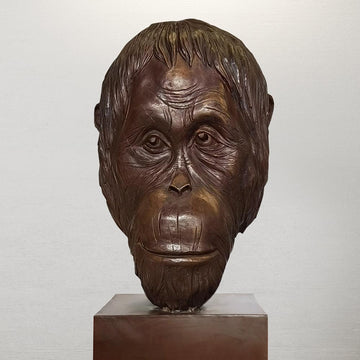 Borneo - Tapanuli Orangutan of the Wild (Bronze Sculpture)