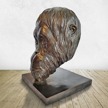 Borneo the Tapanuli Orangutan Was a Face of the Wild (Bronze Sculpture)