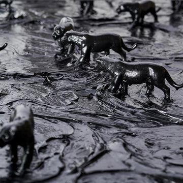 Panthers everywhere (Original Painting)