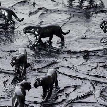 Panthers everywhere (Original Painting)