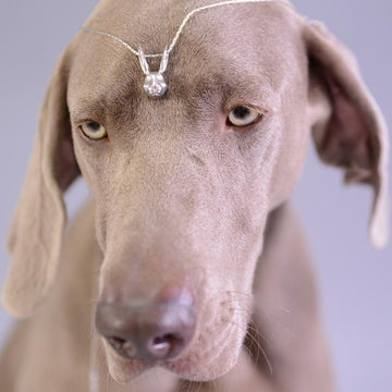 They were bosom buddies (Small Pendant)