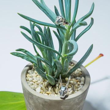 She thought they were the perfect fit (Ring)