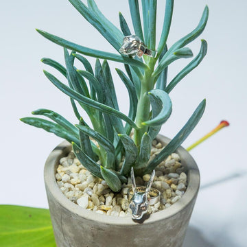 She had him wrapped around her finger (Ring)