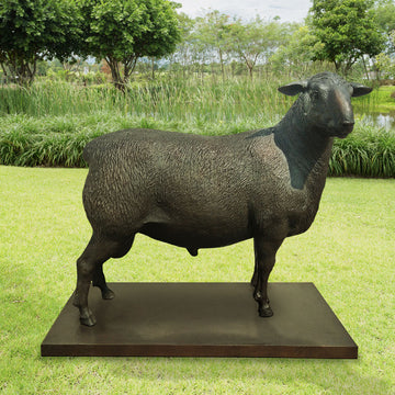 Old MacDonald Had a Sheep (Bronze Sculpture)