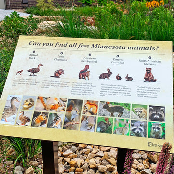 Native American Animals (Bronze Sculpture)