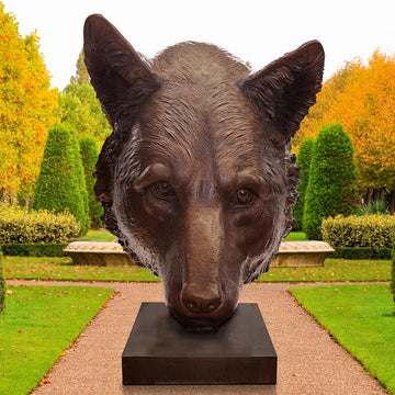 Tala the Red Wolf was Thinking Big (Bronze Sculpture)