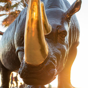 The Wonderful Two (Bronze Sculpture)