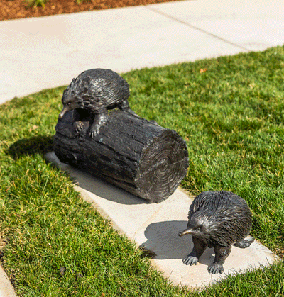 Australian Native Animal Trail