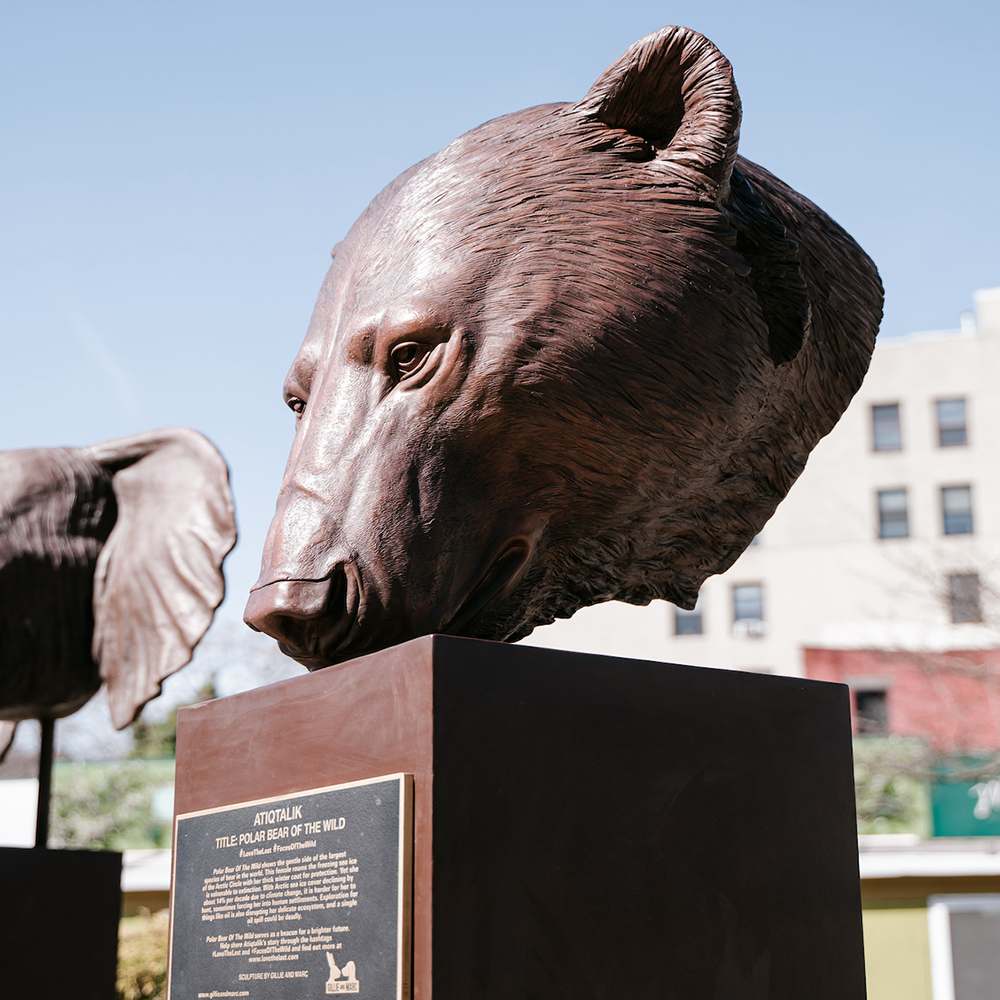 9 sculptures of the world's most endangered animals unveiled in Greenw –  Gillie and Marc