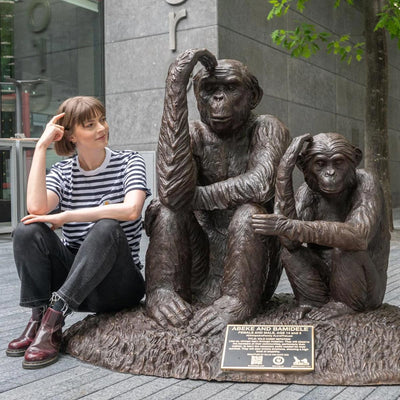 The Chimps are moving! Renowned art exhibition landing in Kingston this month